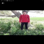 تصویر پروفایل همایون