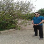 تصویر کاربر با کد 126127