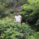 تصویر پروفایل محمد