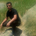 تصویر پروفایل اسماعیل