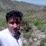 تصویر پروفایل مجید