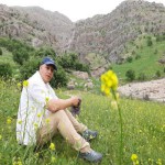 تصویر پروفایل حامد