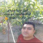 تصویر کاربر با کد 369777