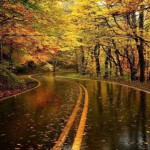 تصویر پروفایل میثم