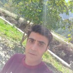 تصویر پروفایل حامد