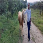 تصویر پروفایل امیر