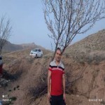 تصویر کاربر با کد 352426