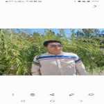 تصویر پروفایل حمیدرضا