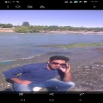 تصویر پروفایل مهدی سالاری