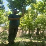 تصویر پروفایل آرش