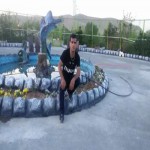 تصویر پروفایل مهدی متولی