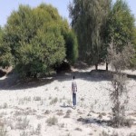 تصویر کاربر با کد 742416