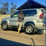 تصویر پروفایل شاهرخ