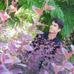 تصویر پروفایل پیمان