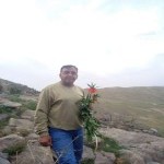 تصویر پروفایل حامد