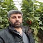 تصویر پروفایل امیر