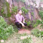 تصویر پروفایل منصور نصیری
