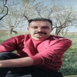 تصویر پروفایل حمید