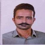 تصویر پروفایل حامد قاسمی
