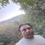 تصویر پروفایل مهرزاد