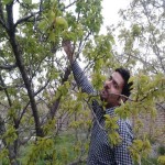 تصویر پروفایل مجتبی