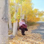 تصویر کاربر با کد 911482