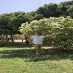 تصویر کاربر با کد 883490