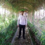 تصویر پروفایل علیرضا