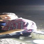 تصویر پروفایل پارسا