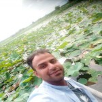 تصویر پروفایل بهرام