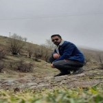 تصویر پروفایل متین