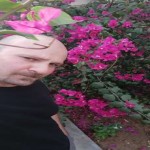 تصویر پروفایل علیرضا