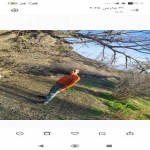 تصویر پروفایل مهدی
