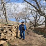 تصویر پروفایل بهزاد