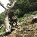 تصویر پروفایل كوروش