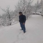 تصویر پروفایل کاوه