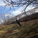 تصویر پروفایل مهدی