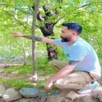 تصویر کاربر با کد 1225260