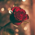 رفتن به قم زن صیغه